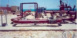 El-Ain El-Sokhna Petrochemical Plant 03